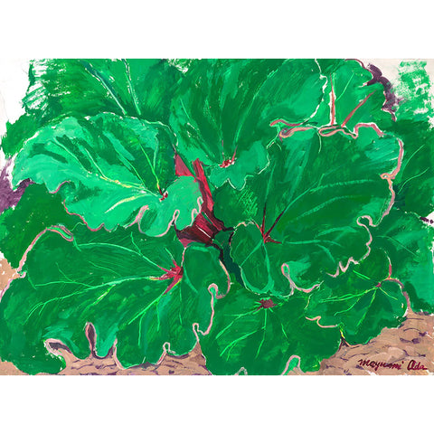 Rhubarb, California Buddha Field Giclee Series