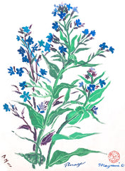 Borage, 16" x 22" with 2" border on all sides