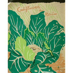 Green Gulch Seed Catalogue, Cauliflower in Rain